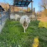 Volta Farm 乡村民宿