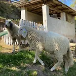 Volta Farm 乡村民宿 Brozolo