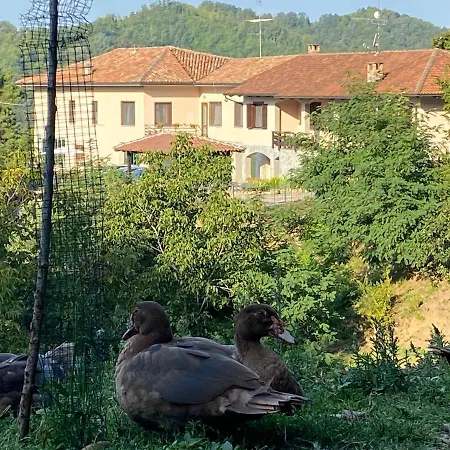 Volta Farm Venkovský dům *