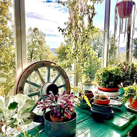 Country house Volta Farm