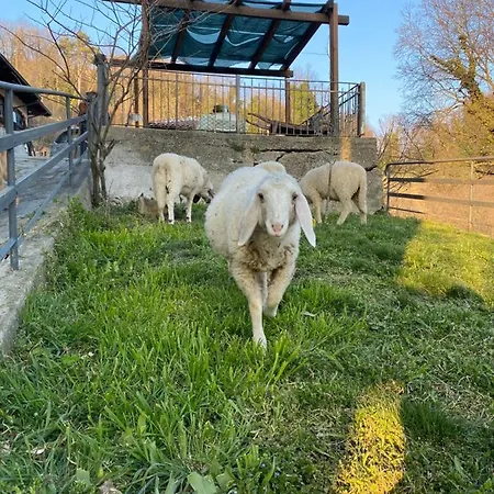 Volta Farm Country house