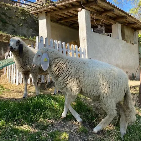 Volta Farm Venkovský dům Brozolo