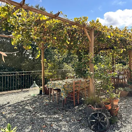 Volta Farm Casa de Campo Brozolo